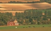 Midden Limburg